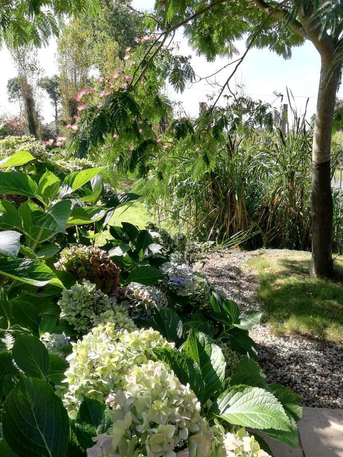 Bed and Breakfast Les Petites Chapelles Saint-Pierre-de-Plesguen Exterior foto